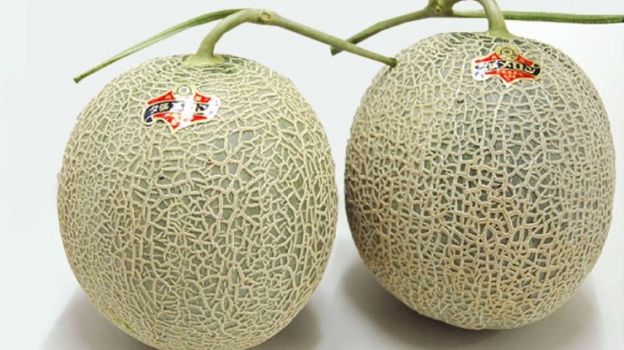 Yubari melon